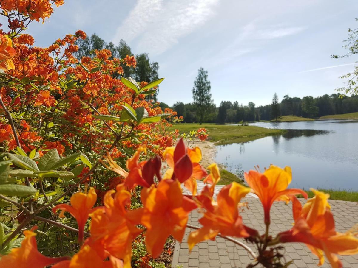 Mezdzirnas Country House & Spa Kabile Exteriér fotografie